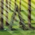 KAREN RICHARDS: Gateways