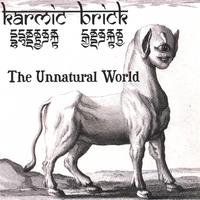 KARMIC BRICK: The Unnatural World
