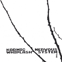 KARMIC WHIPLASH: The Nervous System