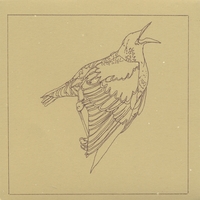 KASPAR HAUSER: Quixotic/Taxidermy