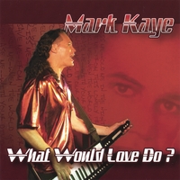Mark Kaye : What Would Love Do?