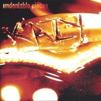 Undeniable Pieces Cover of Undeniable Pieces