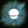 KING BLACK ACID AND THE WOMB STAR ORCHESTRA: Sunlit