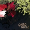 KENICHI DOAMI: Chronicle