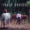 KENNY FLINT: Crazy Horses