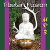 SOUND SHAMAN KENNY PARKER: Tibetan Fusion (MP3)