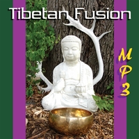 SOUND SHAMAN KENNY PARKER: Tibetan Fusion (MP3)