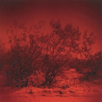 Kerosene Sky : Kerosene Sky