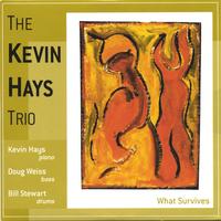Kevin Hays Trio w/Doug Weiss and Bill Stewart : What Survives