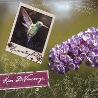 KIM DIVINE: Hummingbird