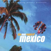 various artists : The Now Sound Of Mexico