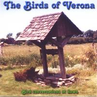 King Tet : The Birds of Verona