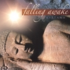 KIRTANA: Falling Awake