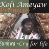 KOFI AMEYAW: Promise