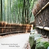 KOHSUKE TAJIMA: Explorations into Sound
