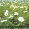 MICHAEL KOLLWITZ- SOLO CHAPMAN STICK: Here Comes Spring