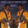 KOOLAIDE EXACT CHANGE BAND: Tears Fallin Down Like Rain