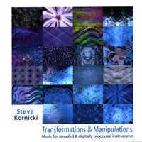 STEVE KORNICKI: Transformations and Manipulations