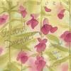Dragonfly: Aiko Shimada, Elizabeth Falconer, Mako: Island Dreams - songs and lullabies carried on the wind