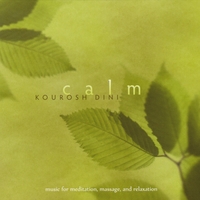 Kourosh Dini : Calm