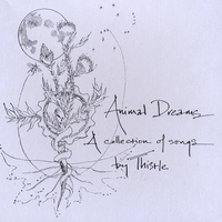 Kristine Pettersen : Animal Dreams