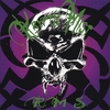 KRYPTIC MIST: Rape My Soul (RMS)