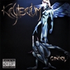 KRYTERIUM: Control