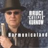 BRUCE KURNOW: Harmonicaland