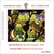 KYIV CHAMBER CHOIR: A.Vedel. Spiritual Choir Concertos No.13-21