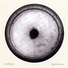 LACKLUSTER: Repulsine EP