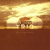 Jon LaDeau Trio: Breaking Down