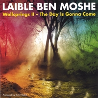 Laible Ben Moshe : Wellsprings II- The Day Is Gonna Come