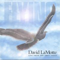 DAVID LAMOTTE: Flying: Live From the Grey Eagle
