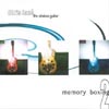 CHRIS LANE`: the obvious guitar/memory boxing 2