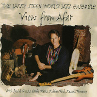 THE LARRY STEEN WORLD JAZZ ENSEMBLE: View From Afar