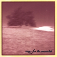 RICK LASSITER: Songs for the Unconsoled