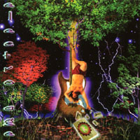 VARIOUS ARTISTS: Electro Age I: The Awakening