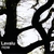 LAVALU: Now