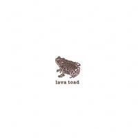lava toad : lava toad