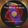 LAYNE REDMOND PROJECT: Sundaryalahari: The Wave of Bliss