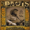 LAZY BRAD LEWIS: Down Inside