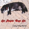 LAZY DOG BAND: Let Sleepin' Dogs Lie