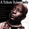 VARIOUS: A Tribute To Leadbelly
