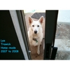 LEE TRAWICK: Homemade 2007 to 2008