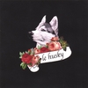 LE HUSKY: LE HUSKY