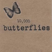 LENI STERN: 10,000 Butterflies
