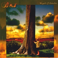 Lenny Bosh : Thoughts I Collected