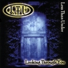 LESS THAN UNDER: Looking Through You