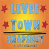 LEVEE TOWN: Snapshot