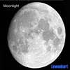 Lewenhart: Moonlight